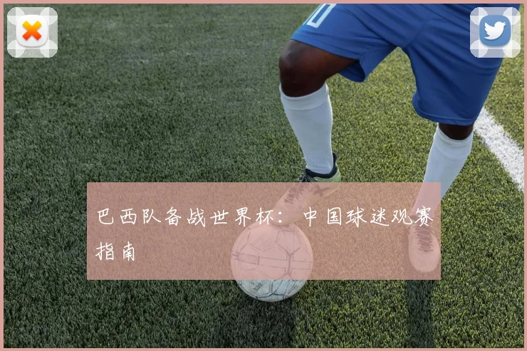 巴西队备战世界杯：中国球迷观赛指南